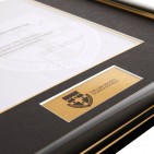 Practising Certificate frame - Prestige Gold